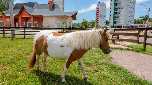 Apartamento mobiliado com 3 suítes no Parque Europa. - Foto 29