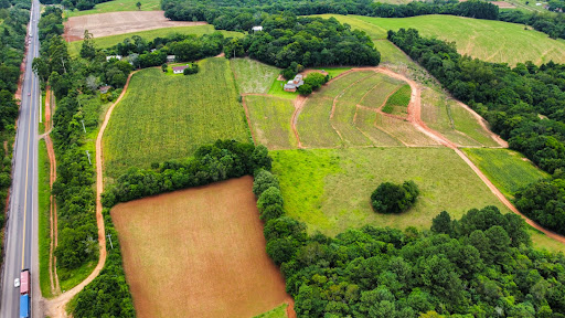 Chácara em Rincão Del Rei com 4,5ha - Foto 4