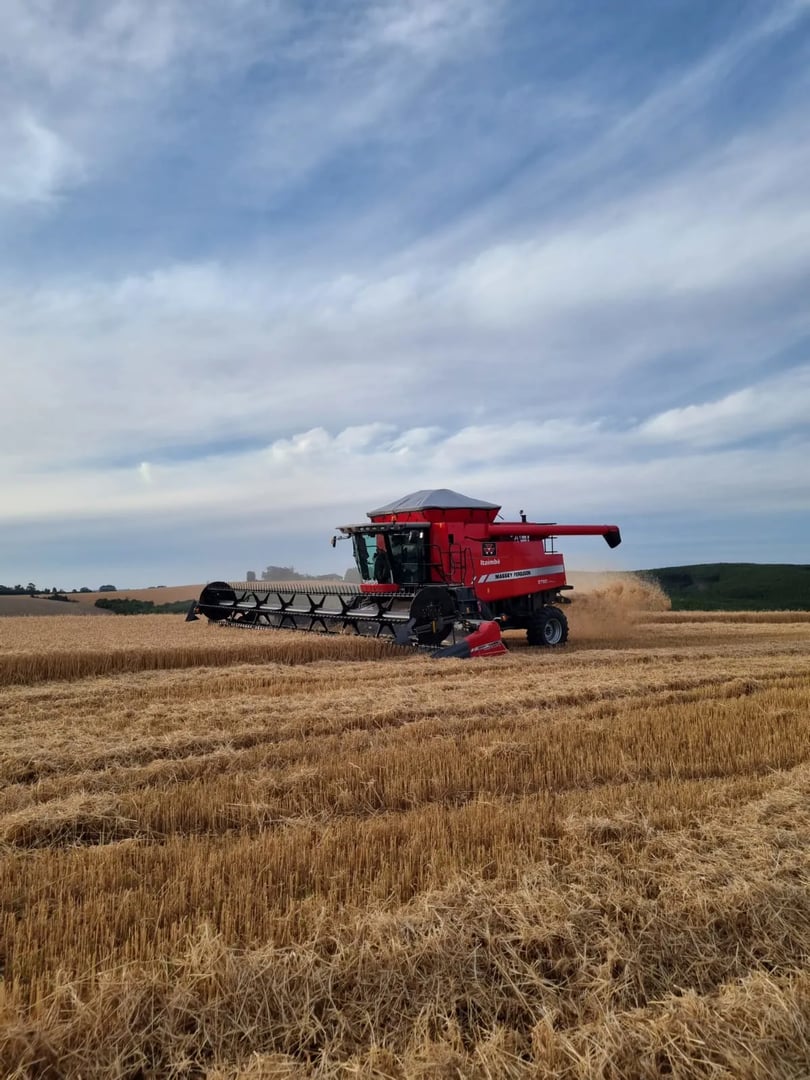 517 hectares - Butiá - Foto 18