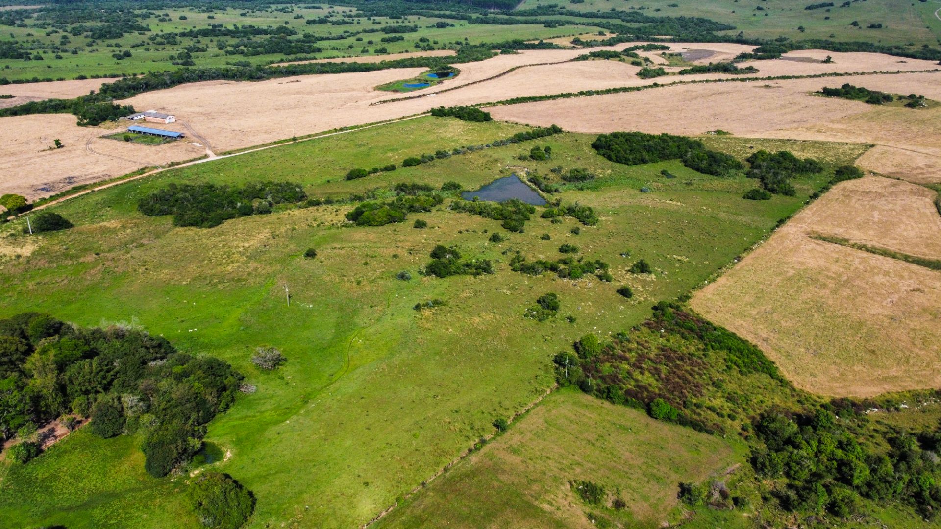 Fazenda em Encruzilhada do Sul com 44,4ha - Foto 10