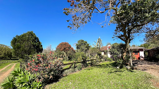 Chácara em Candelária com 21 Hectares - Foto 28