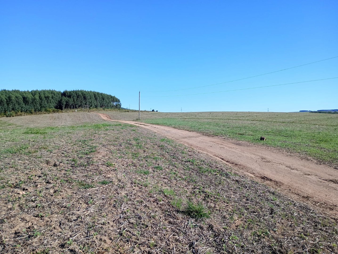 187 hectares - Arroio dos Ratos