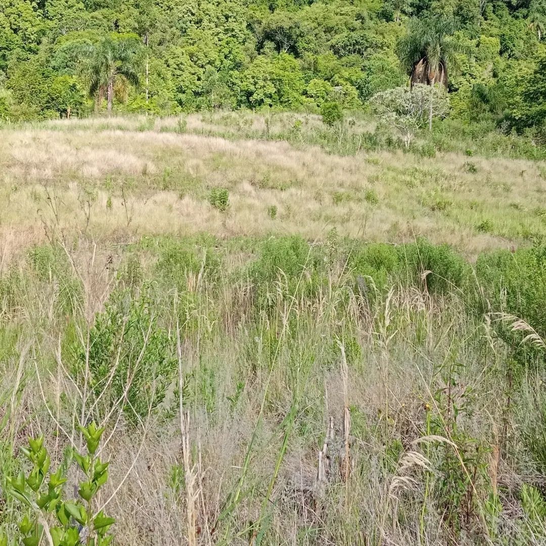 2,8 hectares - Rio Pardinho - Foto 11