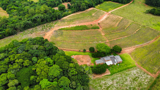 Chácara em Rincão Del Rei com 4,5ha - Foto 3