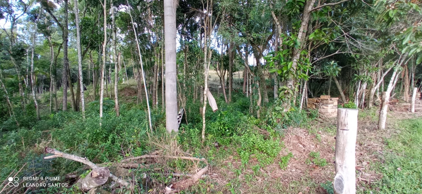 2 hectares - Linha Pinheiral  - Foto 8