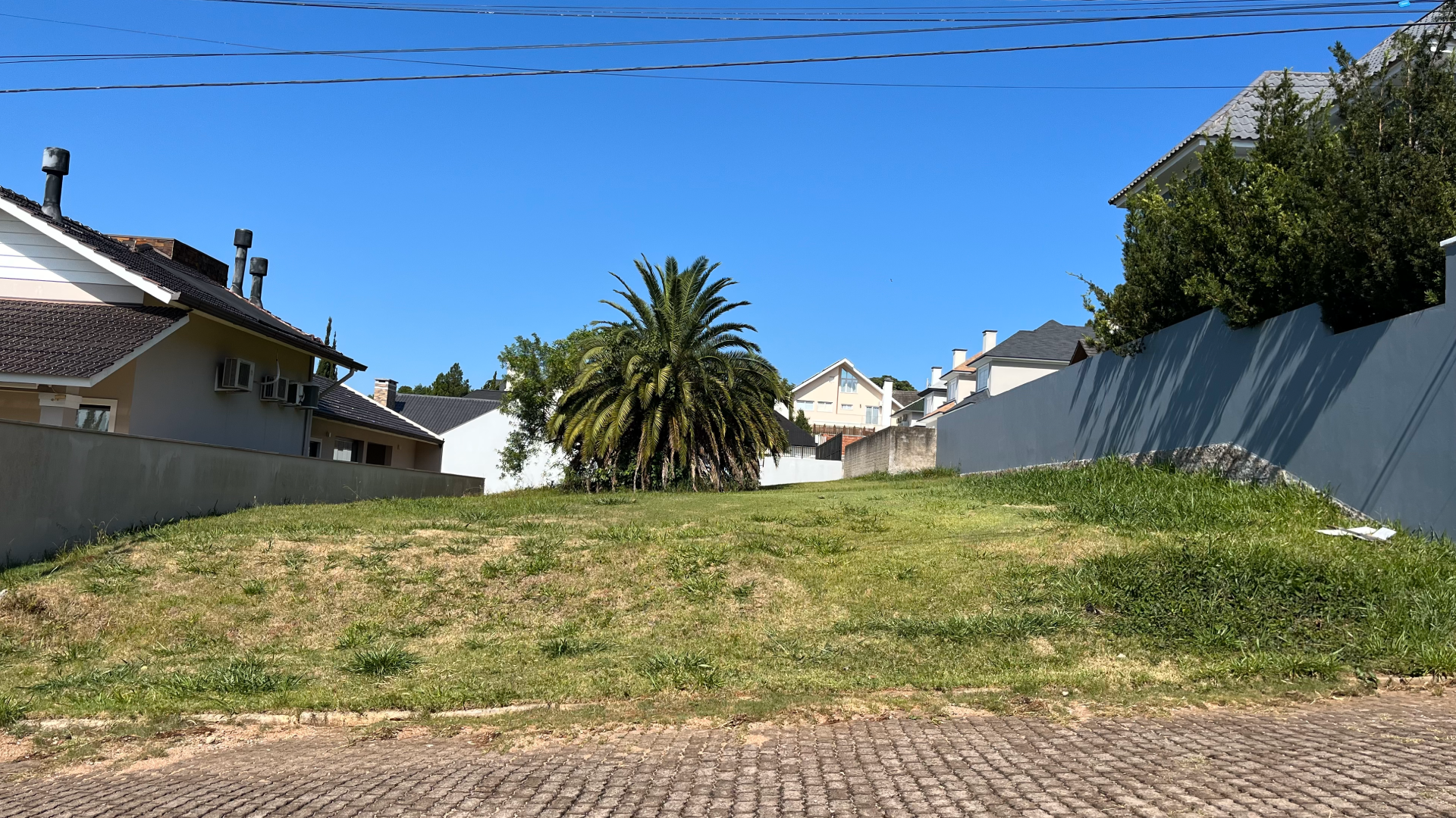 Terreno no Condomínio Terra Madre com 495 m² - Foto 3