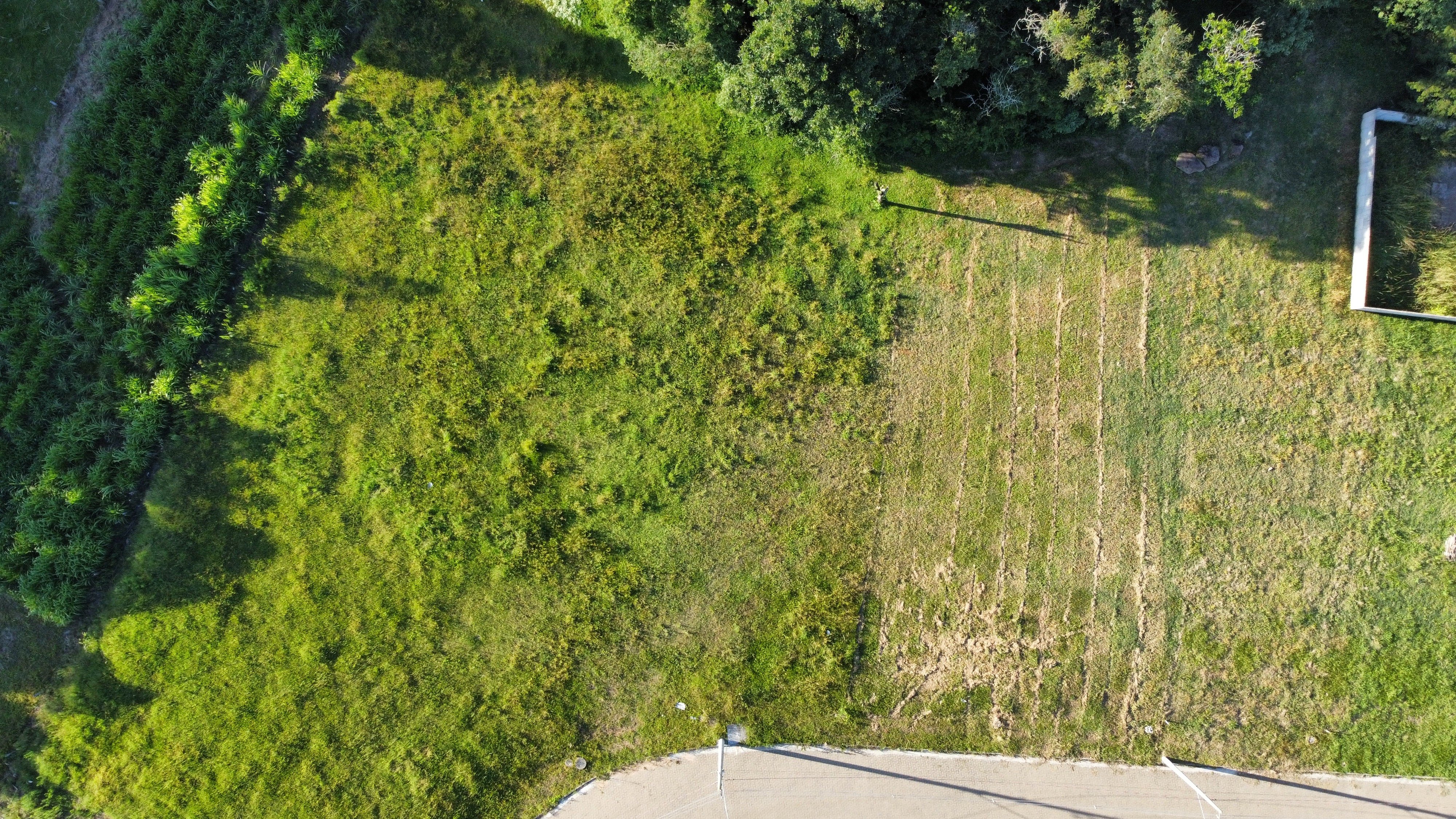 Terreno no Aliança com 477,63m² - Foto 4