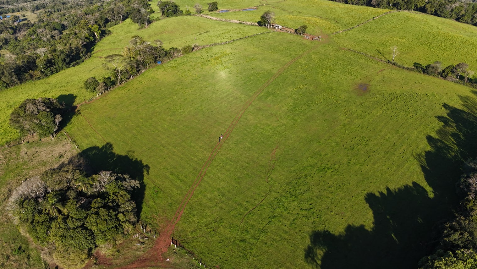 60 hectares - Santa Cruz do Sul - Foto 10