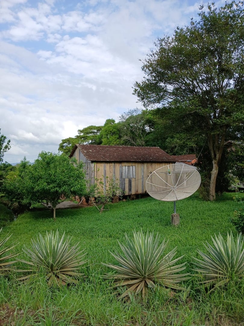 2 hectares - Cerro Alegre Baixo - Foto 5