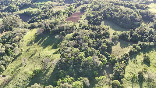 Chácara em Candelária com 21 Hectares - Foto 14