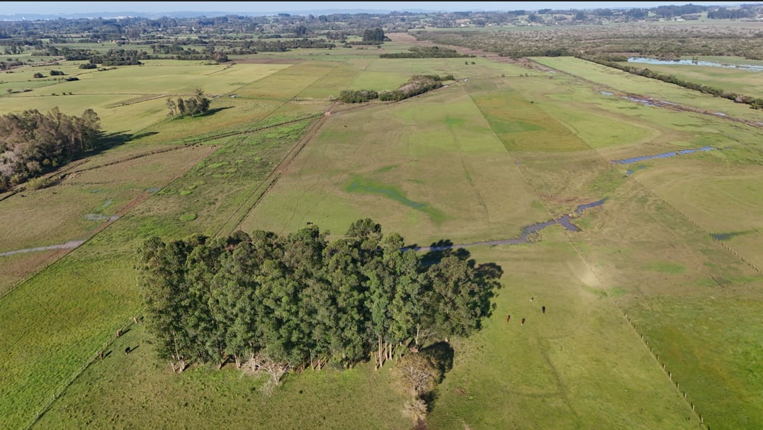 26 hectares - Vera Cruz - Foto 4