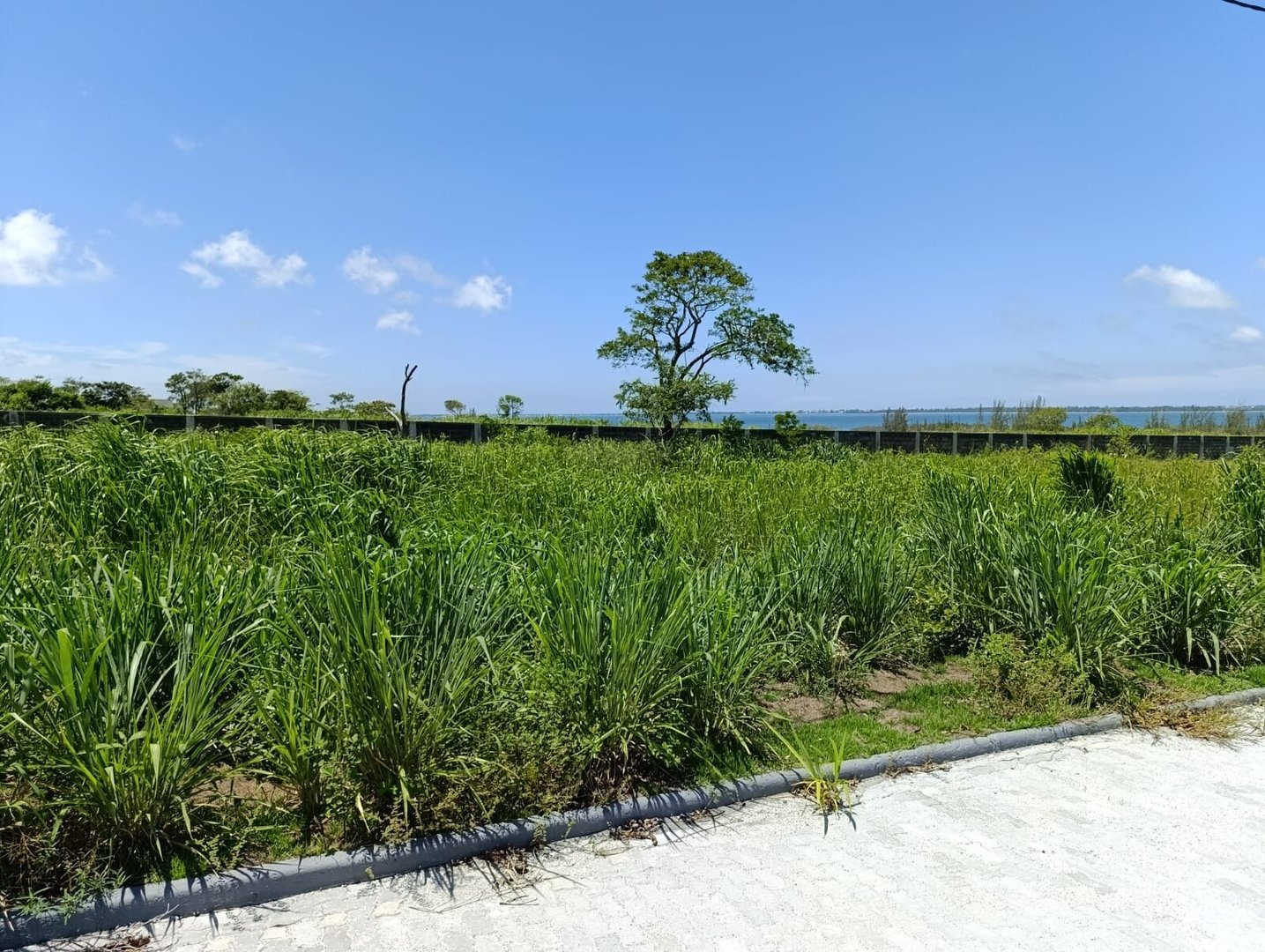 Terreno em Praia Do Gavião, Araruama