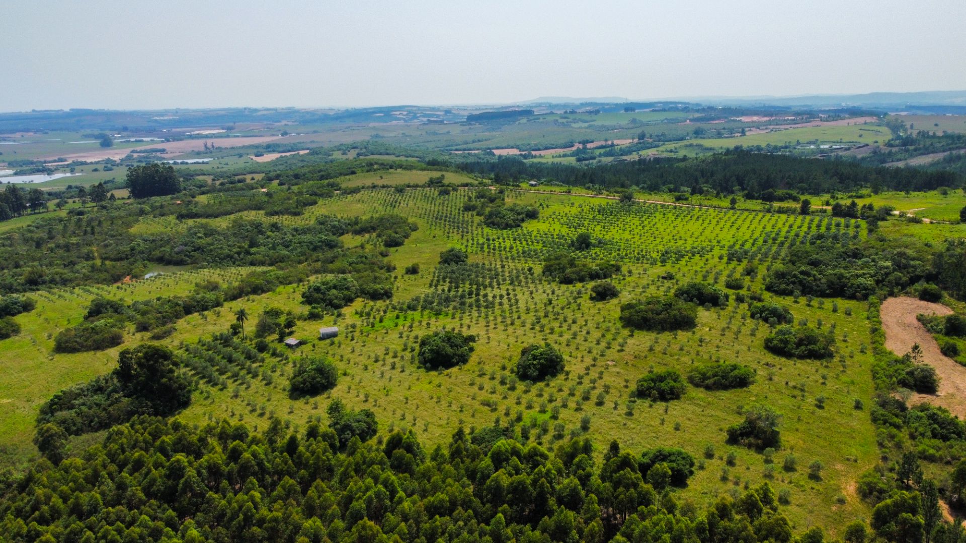 Fazenda em Encruzilhada do Sul com 44,4ha - Foto 24