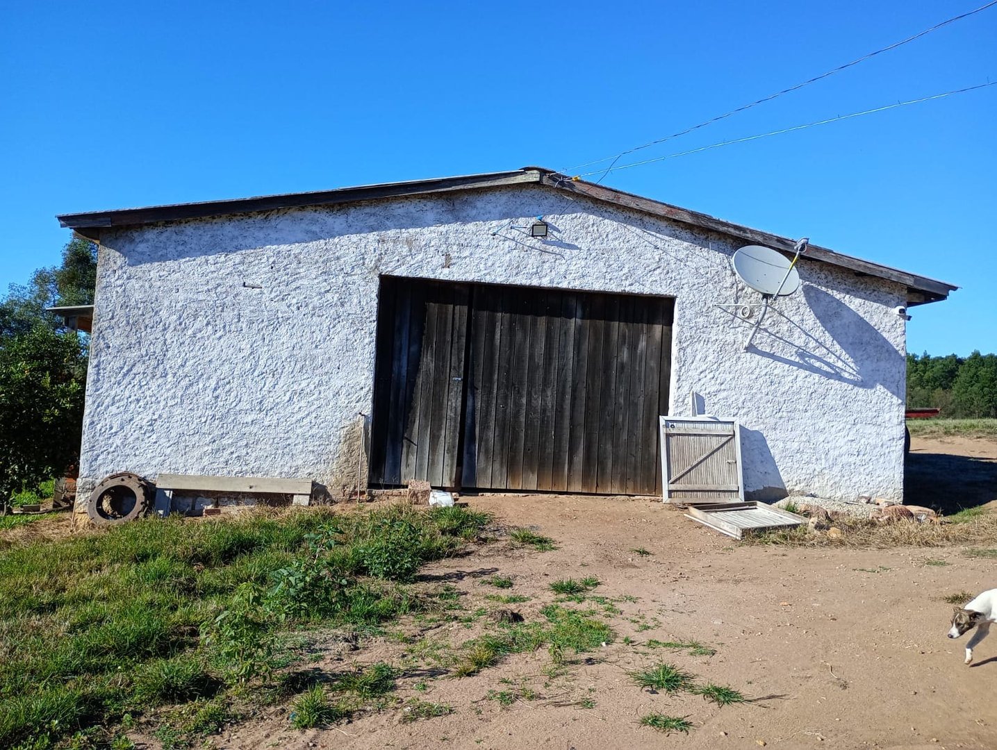 187 hectares - Arroio dos Ratos - Foto 14