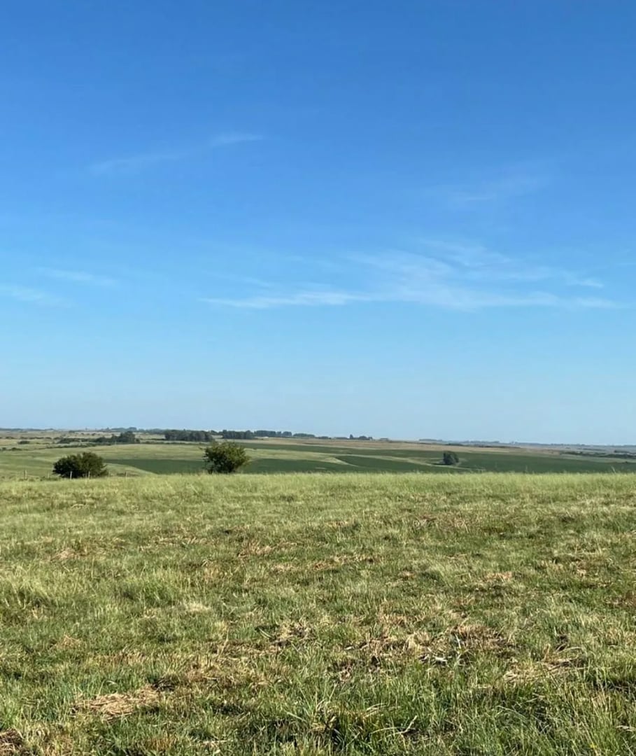 120 hectares - Alegrete - Foto 13