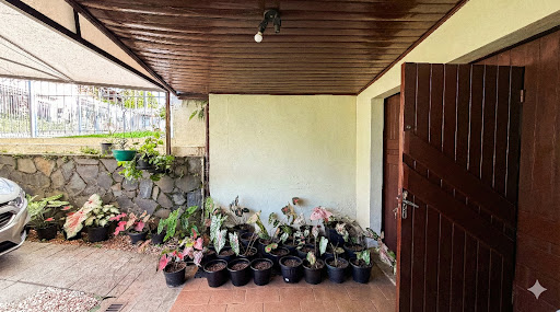 Casa no Higienópolis com 3 dormitórios e pátio amplo - Foto 6