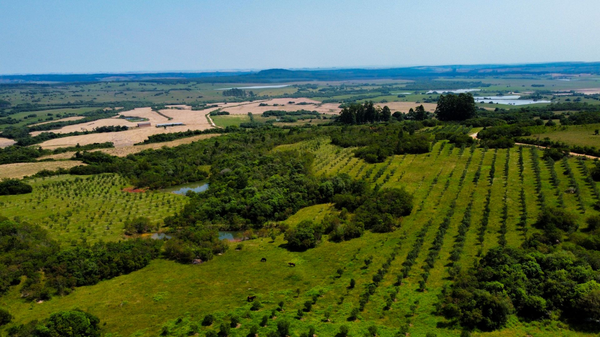 Fazenda em Encruzilhada do Sul com 44,4ha - Foto 21