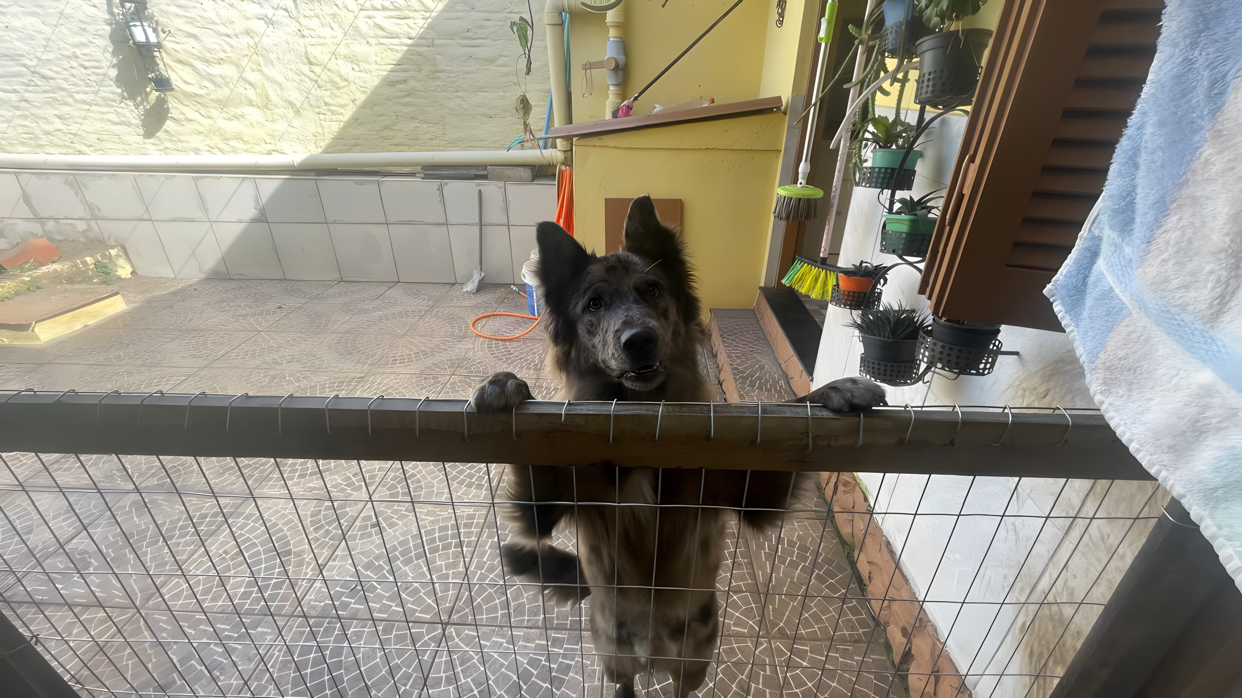 Casa na Várzea com 3 dormitórios e pátio - Foto 27