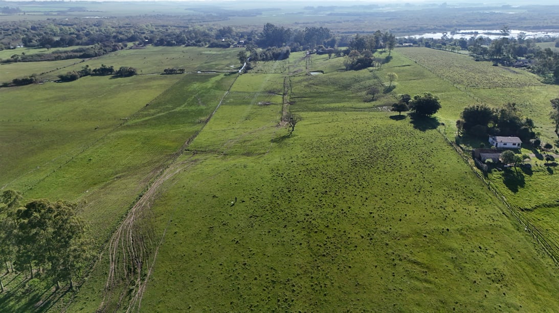 26 hectares - Vera Cruz - Foto 5