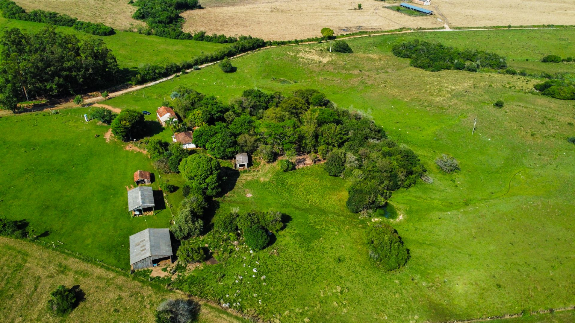 Fazenda em Encruzilhada do Sul com 44,4ha - Foto 9