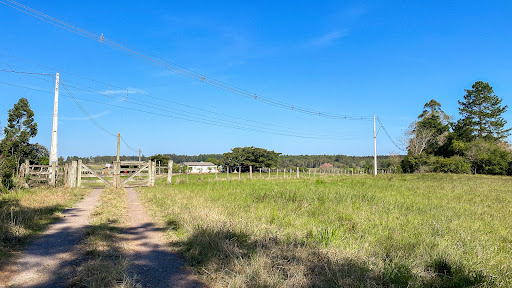 Chácara no Rincão Del Rei com 4 dormitórios - Foto 7