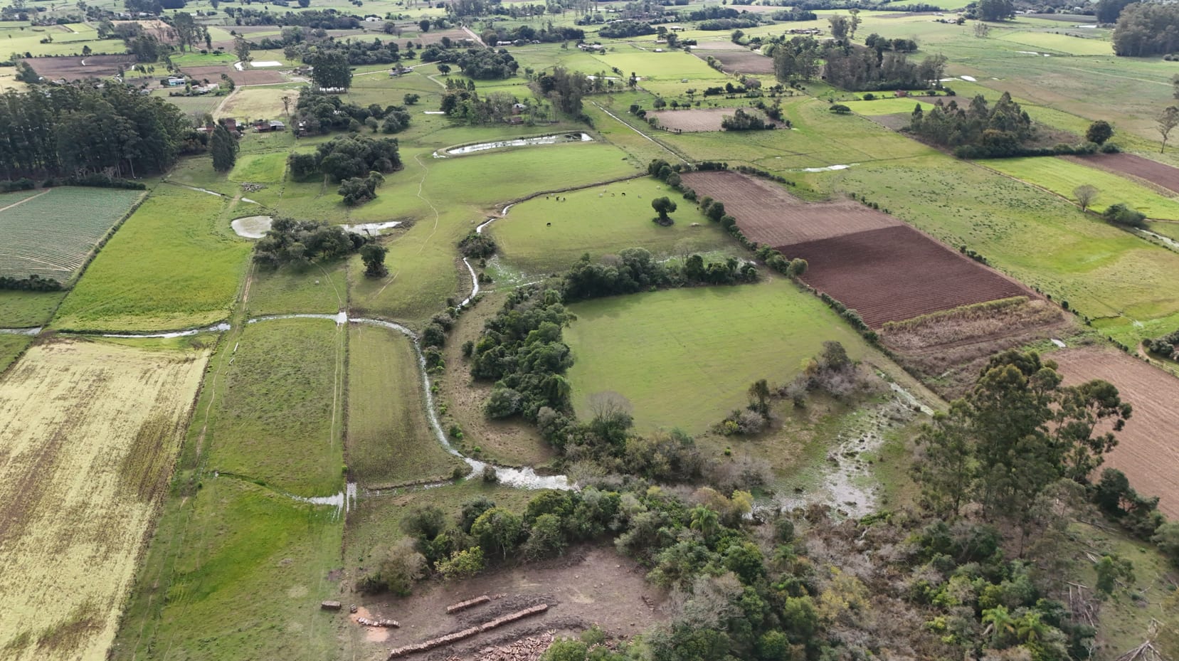 37 hectares - Vera Cruz - Foto 9