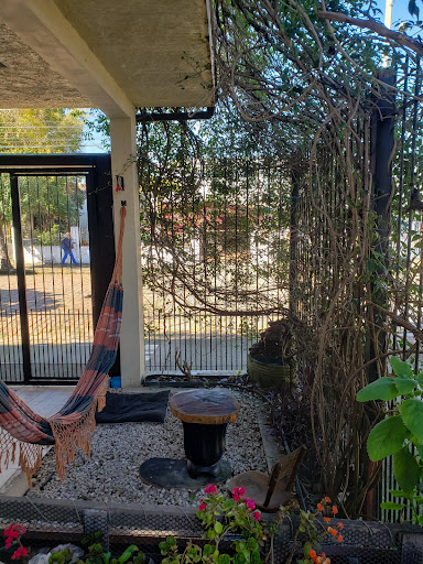 Triplex no Centro com 3 dormitórios e terraço - Foto 22