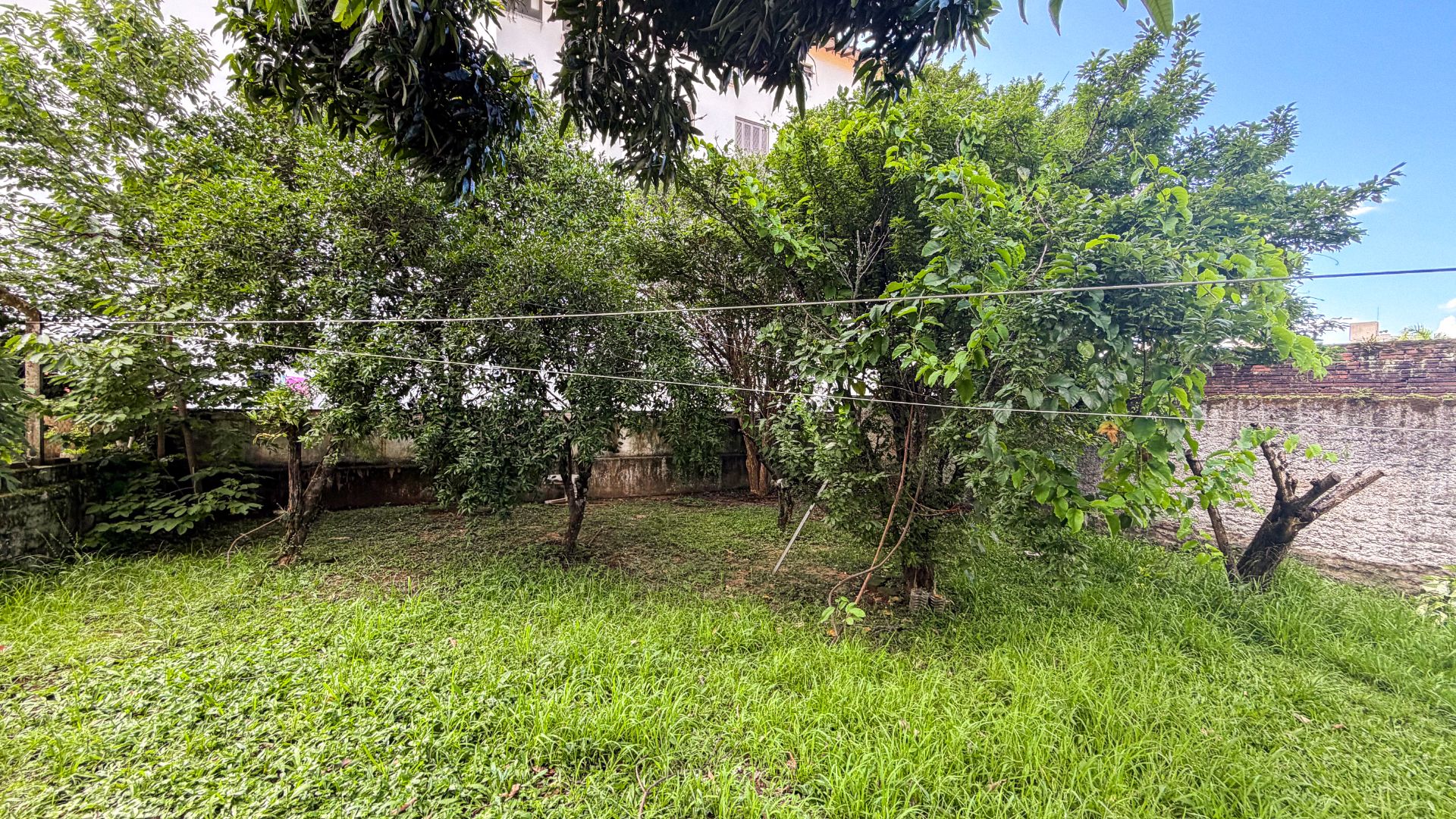 Casa no Higienópolis com 3 dormitórios e pátio amplo - Foto 12