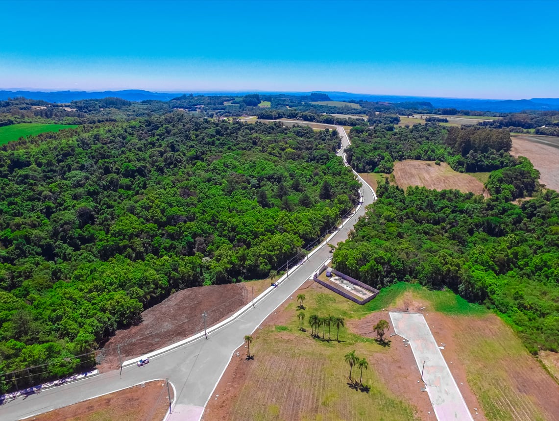 Parque das Palmeiras - Foto 9