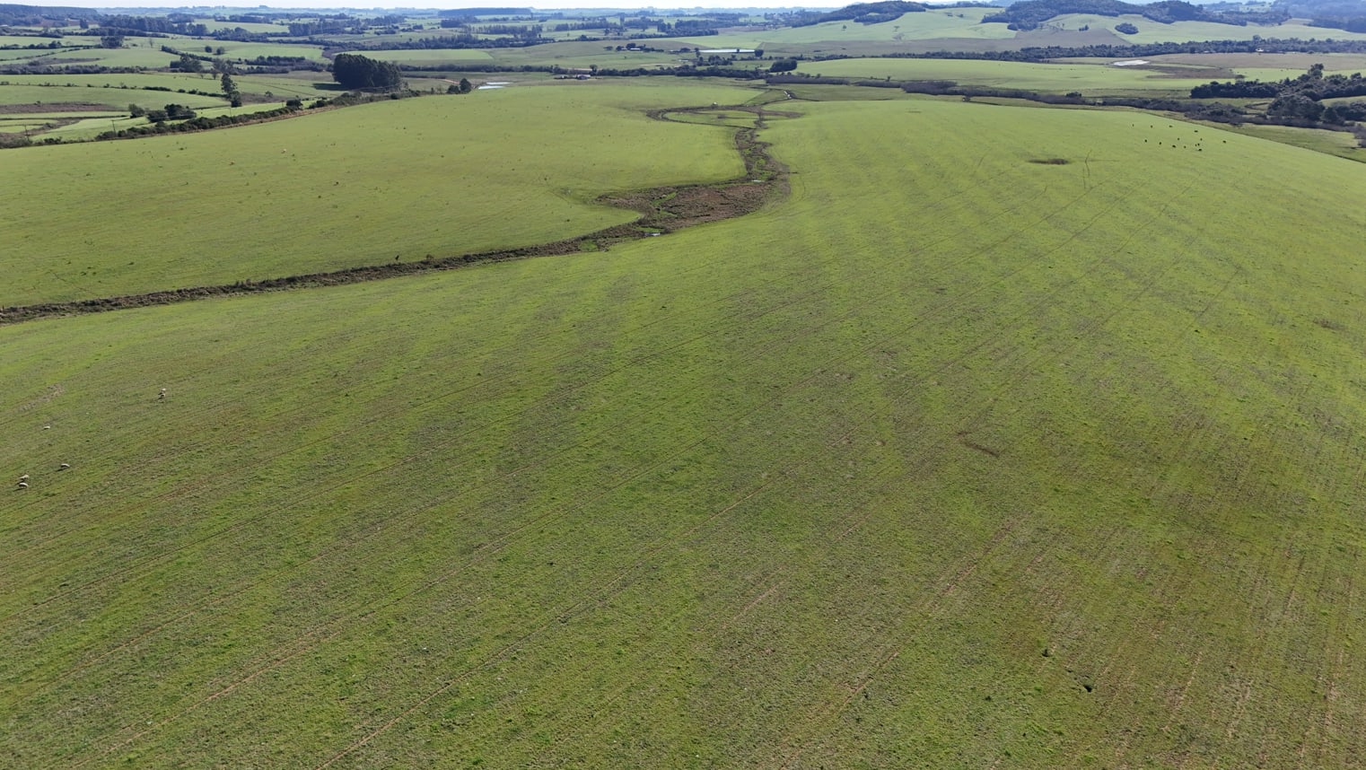 203 hectares - Vale Verde - Foto 7