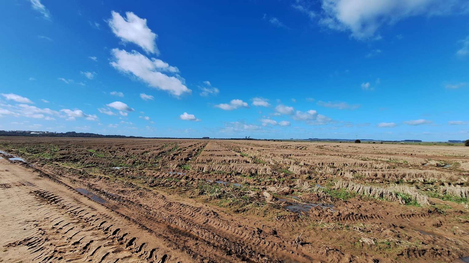 530 Hectares - Cachoeira do Sul - Foto 4