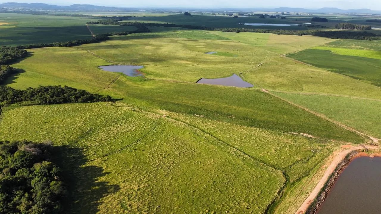 178 hectares - Vale Verde - Foto 5