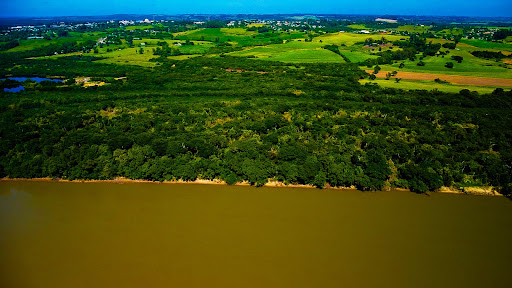 Fazenda em Rio Pardo 83ha - Foto 5