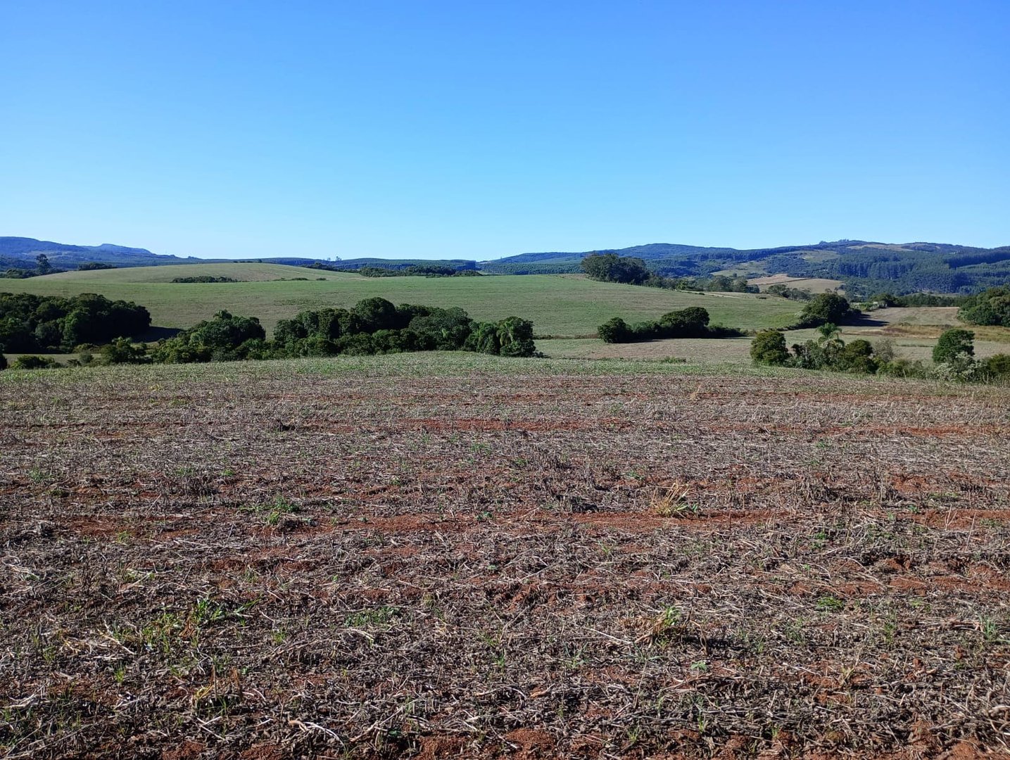 187 hectares - Arroio dos Ratos - Foto 6