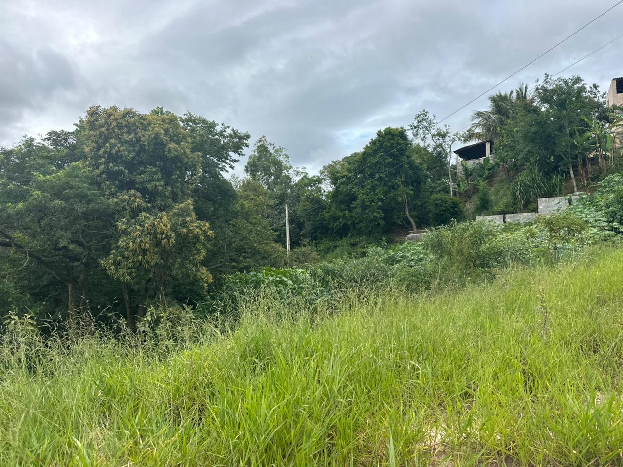 Terreno, Dona Catarina, Mairinque - R$ 85 mil, Cod: TE-295