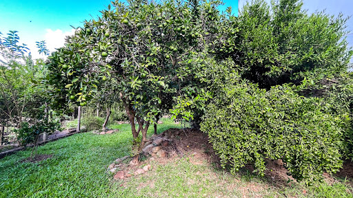 Casa no Goiás com 3 dormitórios e Amplo Pátio - Foto 18