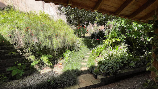 Casa no Higienópolis com 3 dormitórios e amplo pátio - Foto 6