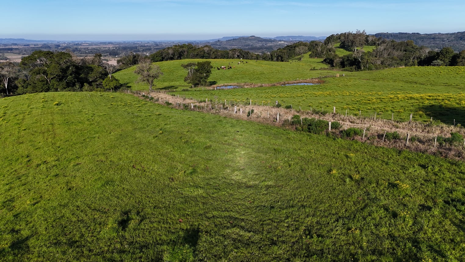 60 hectares - Santa Cruz do Sul - Foto 20
