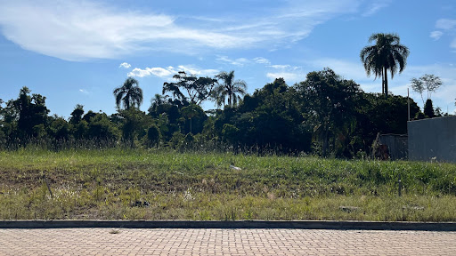 Terreno no Loteamento Parque das Palmeiras com 300 m² - Foto 4