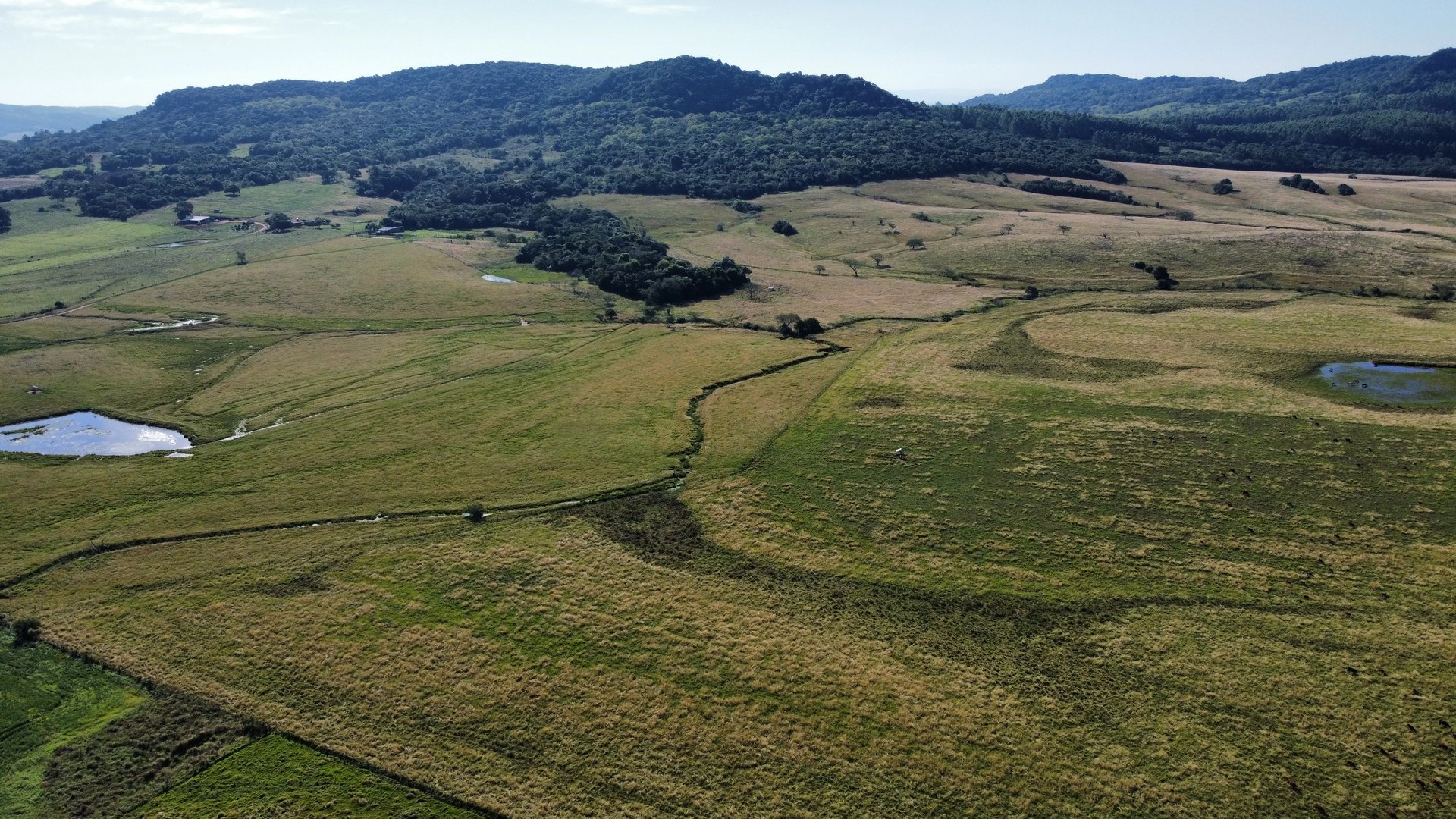 234 hectares - Vale Verde  - Beira de Asfalto - Foto 5