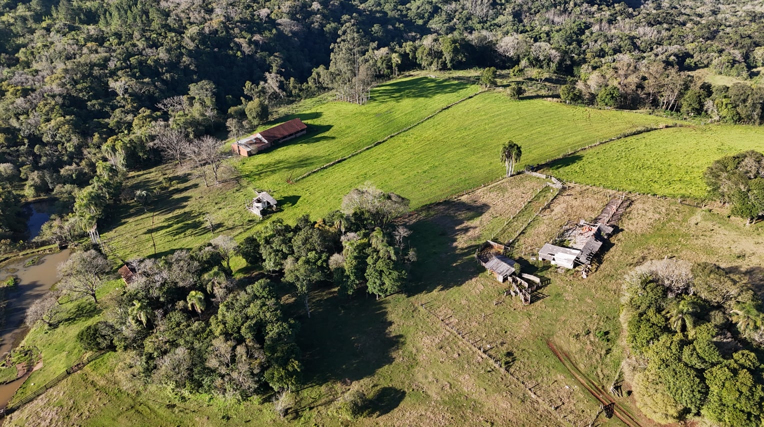 60 hectares - Santa Cruz do Sul - Foto 12