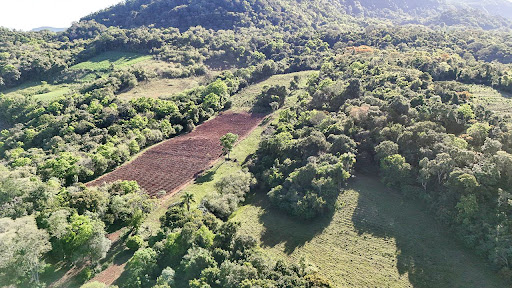 Chácara em Candelária com 21 Hectares - Foto 12