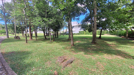 Terreno no Reserva dos Pássaros com 840m² - Foto 3