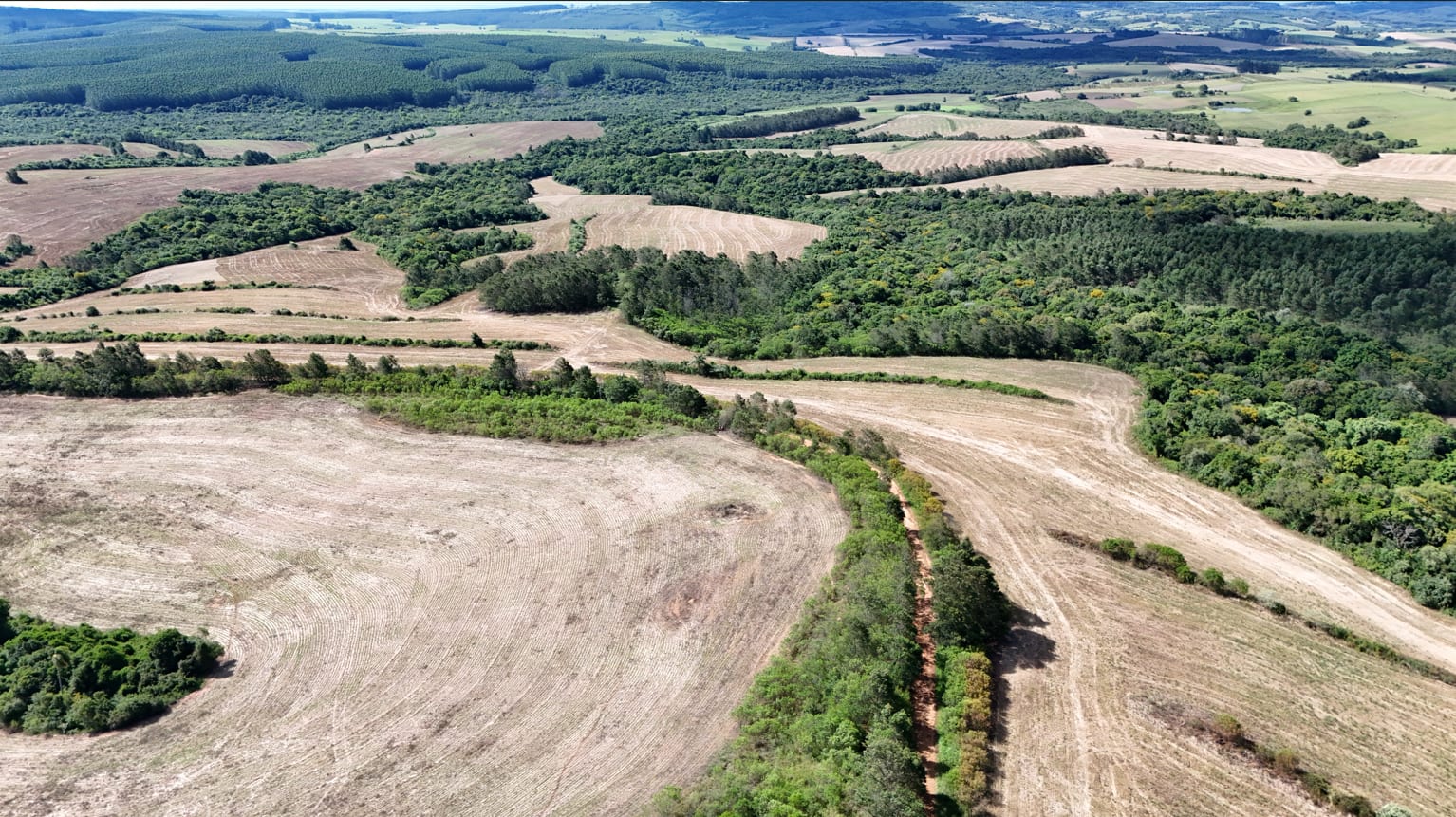 517 hectares - Butiá - Foto 9