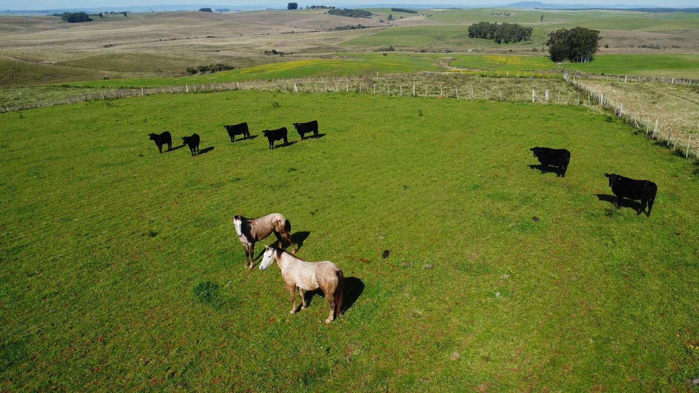 Fazenda 119ha - Foto 5