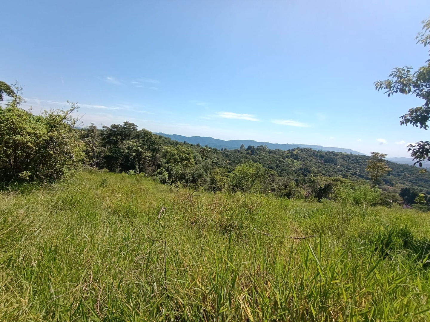 Terreno em Itu - R$ 150 mil, Cod: TE-421