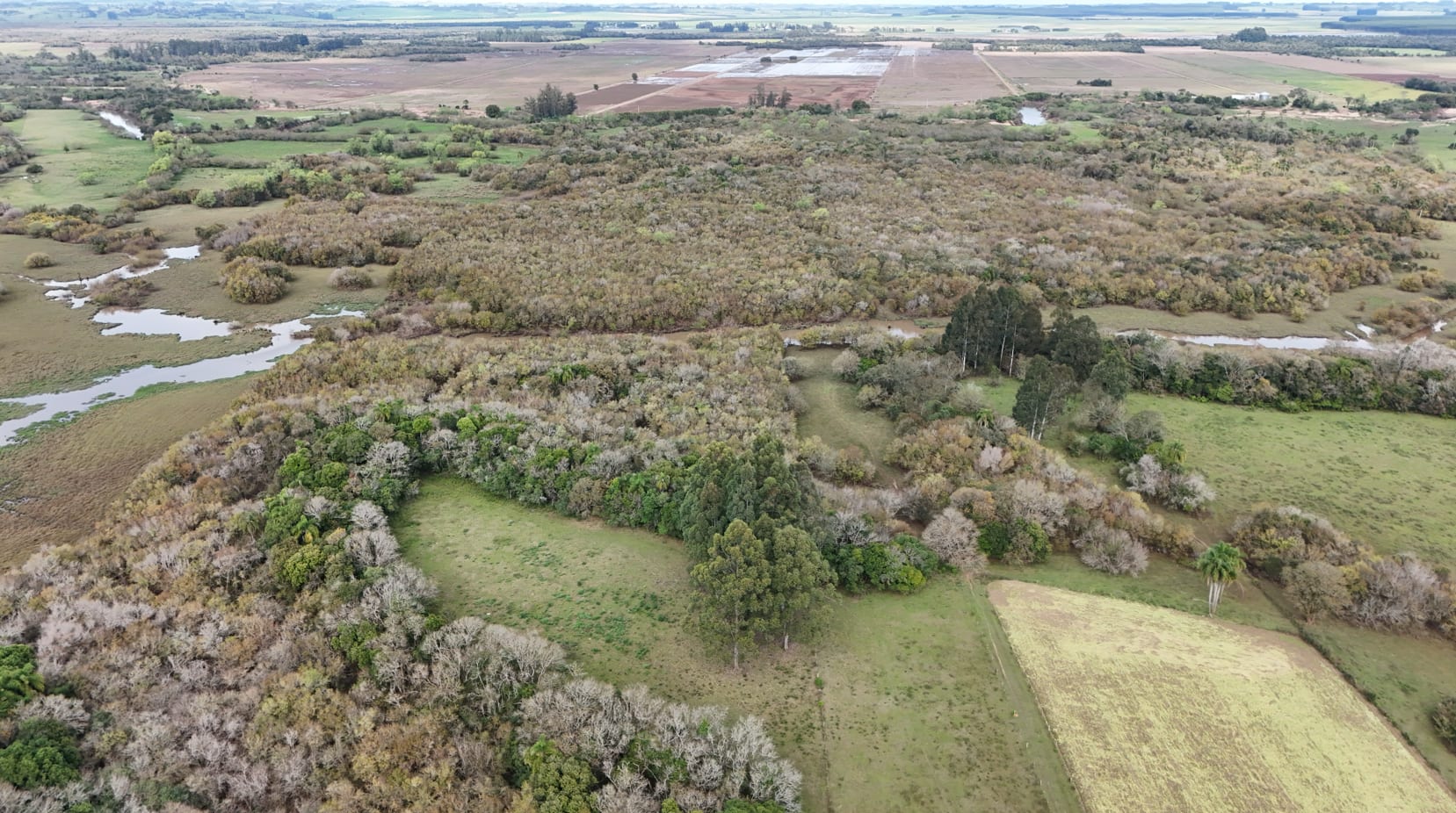 37 hectares - Vera Cruz - Foto 10