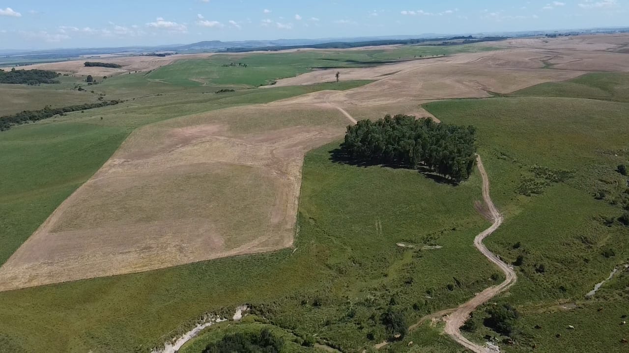 120 hectares - Rio Pardo - Foto 6