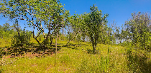 Bela Chácara em Monte Alverne com 12,6ha - Foto 20