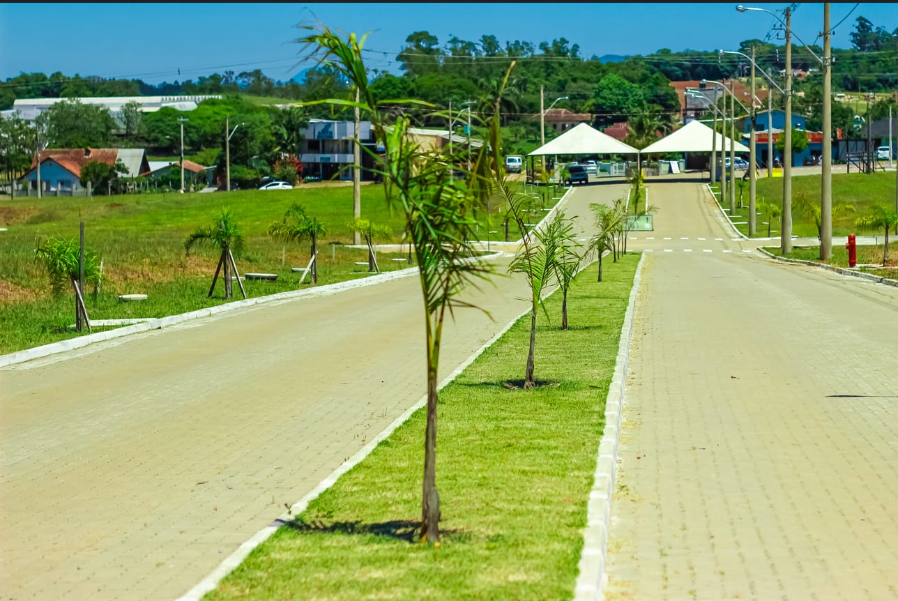 Parque das Palmeiras - Foto 7